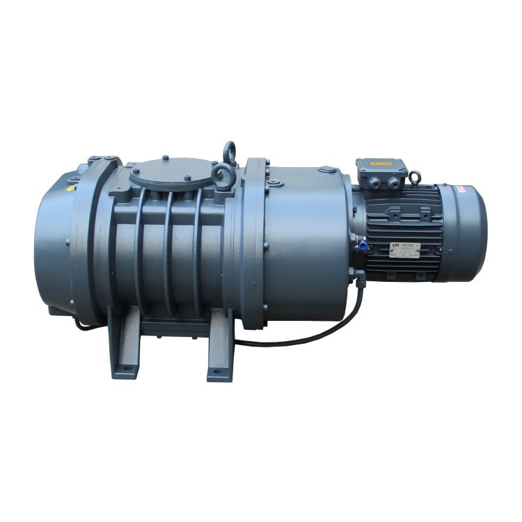 Vacuum Assist Pump factory